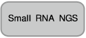 Small RNA NGS